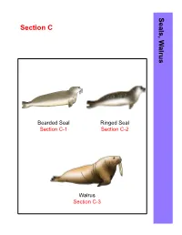 Section C Se a Ls , W a Lru S