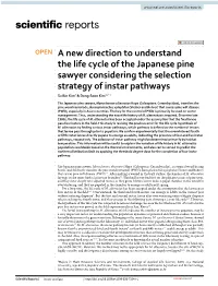 A New Direction to Understand the Life Cycle of the Japanese Pine Sawyer Considering the Selection Strategy of Instar Pathways Su Bin Kim1 & Dong‑Soon Kim1,2*