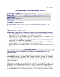 Final Project Completion Report