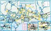 Getting About Area Bus