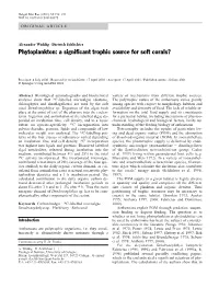 Phytoplankton: a Significant Trophic Source for Soft Corals?