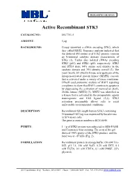 Active Recombinant STK3