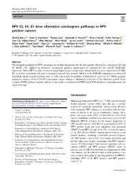 HPV E2, E4, E5 Drive Alternative Carcinogenic Pathways in HPV Positive Cancers
