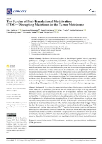 The Burden of Post-Translational Modification (PTM)—Disrupting Mutations in the Tumor Matrisome