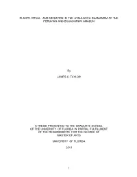 University of Florida Thesis Or Dissertation Formatting