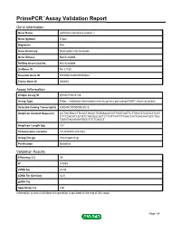 Primepcr™Assay Validation Report