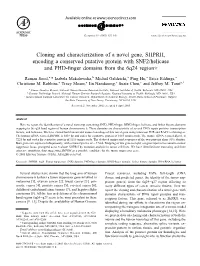Cloning and Characterization of a Novel Gene, SHPRH, Encoding a Conserved Putative Protein with SNF2/Helicase and PHD-ﬁnger Domains from the 6Q24 Region૾
