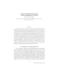 Analysis of Gene Expression in the Normal and Malignant Cerebellum