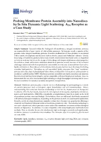Probing Membrane Protein Assembly Into Nanodiscs by in Situ Dynamic Light Scattering: A2A Receptor As a Case Study