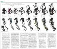 Sheet 2 0F 2