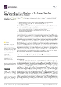 Post-Translational Modifications of the Energy Guardian AMP-Activated