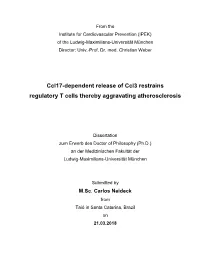 Ccl17-Dependent Release of Ccl3 Restrains Regulatory T Cells Thereby Aggravating Atherosclerosis
