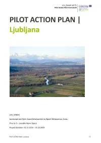 Pilot Action Plan Framework