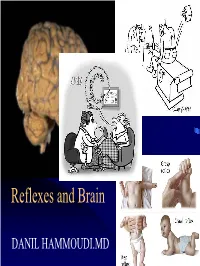 Reflexes and Brain