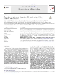 Respiration in Azotobacter Vinelandii and Its Relationship with the Synthesis of Biopolymers
