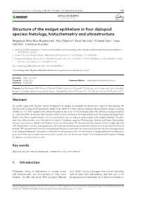 ﻿Structure of the Midgut Epithelium in Four Diplopod Species: Histology, Histochemistry and Ultrastructure
