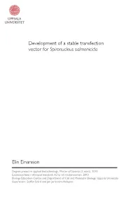 Development of a Stable Transfection Vector for Spironucleus Salmonicida