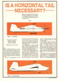 Is a Horizontal Tail Necessary?