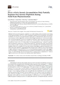 Pteris Vittata Arsenic Accumulation Only Partially Explains Soil Arsenic Depletion During Field-Scale Phytoextraction