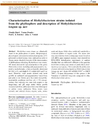 Characterization of Methylobacterium Strains Isolated from the Phyllosphere and Description of Methylobacterium Longum Sp