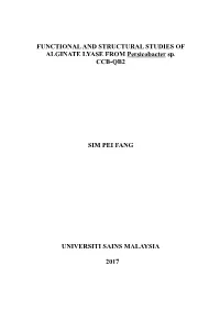 FUNCTIONAL and STRUCTURAL STUDIES of ALGINATE LYASE from Persicobacter Sp. CCB-QB2