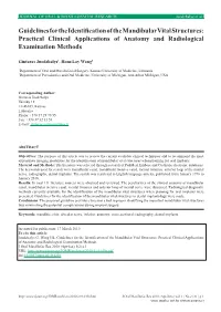 Guidelines for the Identification of the Mandibular Vital Structures: Practical Clinical Applications of Anatomy and Radiological Examination Methods
