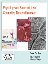 Physiology and Biochemistry of Connective Tissue Within Meat