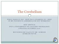 Cerebellar-Disorders.Pdf