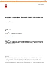 Spectroscopic and Photophysical Properties of the Trioxatriangulenium Carbocation and Its Interactions with Supramolecular Systems
