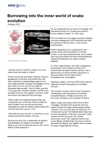 Burrowing Into the Inner World of Snake Evolution 15 March 2018