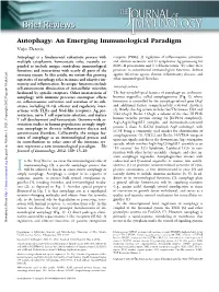 Paradigm Autophagy: an Emerging Immunological