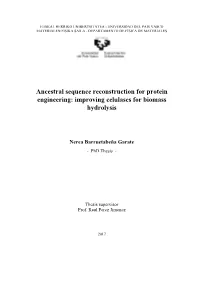 Ancestral Sequence Reconstruction for Protein Engineering: Improving Celulases for Biomass Hydrolysis
