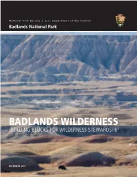 Badlands Wilderness Building Blocks for Wilderness Stewardship