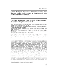 Genetic Diversity of Ampelomyces Mycoparasites Isolated from Different Powdery Mildew Species in China Inferred from Analyses of Rdna ITS Sequences