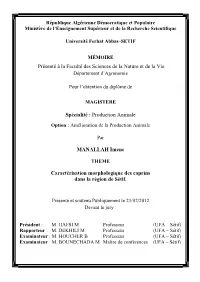 Manallah-Imene.Pdf