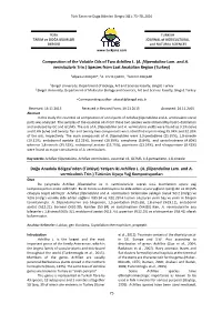 Composition of the Volatile Oils of Two Achillea L. (A