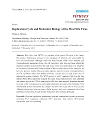Replication Cycle and Molecular Biology of the West Nile Virus