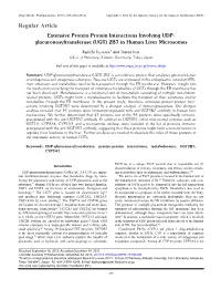 UGT) 2B7 in Human Liver Microsomes