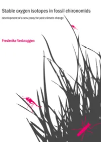 Verbruggen.Pdf