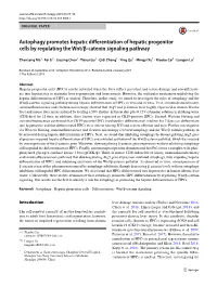 Autophagy Promotes Hepatic Differentiation of Hepatic Progenitor Cells by Regulating the Wnt/Β-Catenin Signaling Pathway