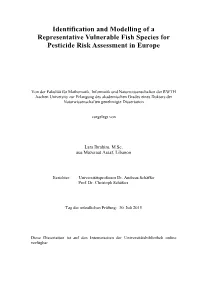 Identification and Modelling of a Representative Vulnerable Fish Species for Pesticide Risk Assessment in Europe