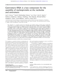 Centromere RNA Is a Key Component for the Assembly of Nucleoproteins at the Nucleolus and Centromere