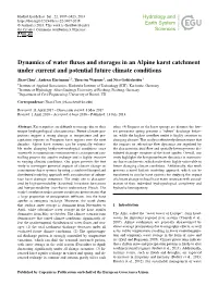 Dynamics of Water Fluxes and Storages in an Alpine Karst Catchment Under Current and Potential Future Climate Conditions