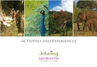 Activities and Experiences