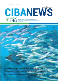 Breakthrough in Milkfish Breeding Vannamiplus