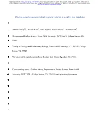 Effective Population Sizes and Adaptive Genetic Variation in a Captive Bird Population