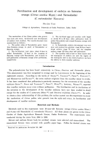 Fertilization and Development of Embryo on Satsuma Orange (Citrus Unshiu MARC.) and Natsudaidai (C