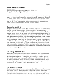How to Behave in a Beehive Eusociality, What Is It? the Colony