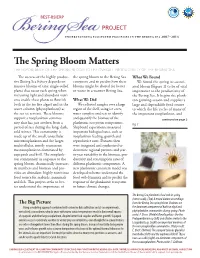 The Spring Bloom Matters