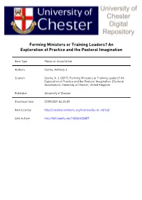 An Exploration of Practice and the Pastoral Imagination